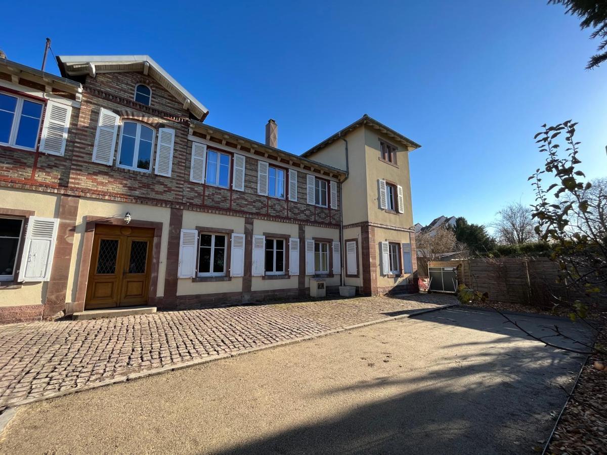 Gite Villa Avril Piscine- Jacuzzi- Sauna - 15 Pers-Proche Europapark Sélestat Eksteriør billede