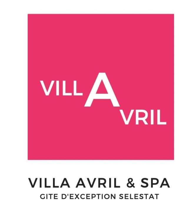 Gite Villa Avril Piscine- Jacuzzi- Sauna - 15 Pers-Proche Europapark Sélestat Eksteriør billede